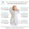 Amazing Baby - Transitional Swaddle Sack  - Arms Up 1/2-Length Sleeves & Mitten Cuffs, Tiny Bear, Sterling