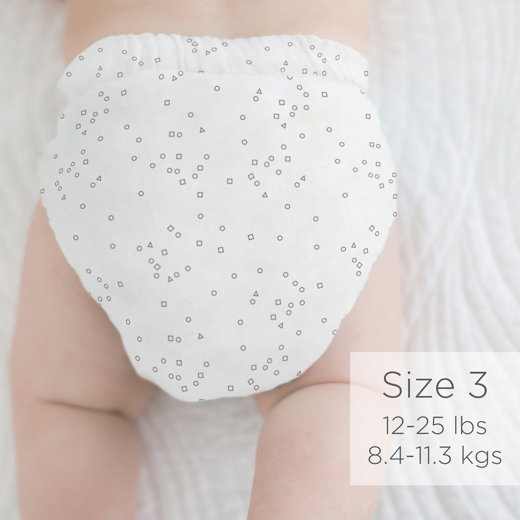 Amazing Baby SmartNappy Hybrid Reusable Cloth Diaper Cover + 1 Reusable Tri-Fold Insert + 1 Reusable Booster - Confetti, Sterling