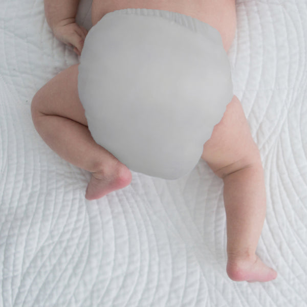 Amazing Baby SmartNappy Hybrid Reusable Cloth Diaper Cover + 1 Reusable Insert + 1 Reusable Booster - Gray