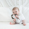 Sister Brand - Amazing Baby - Stuffed Animal Plush Toy - Baby Zebra