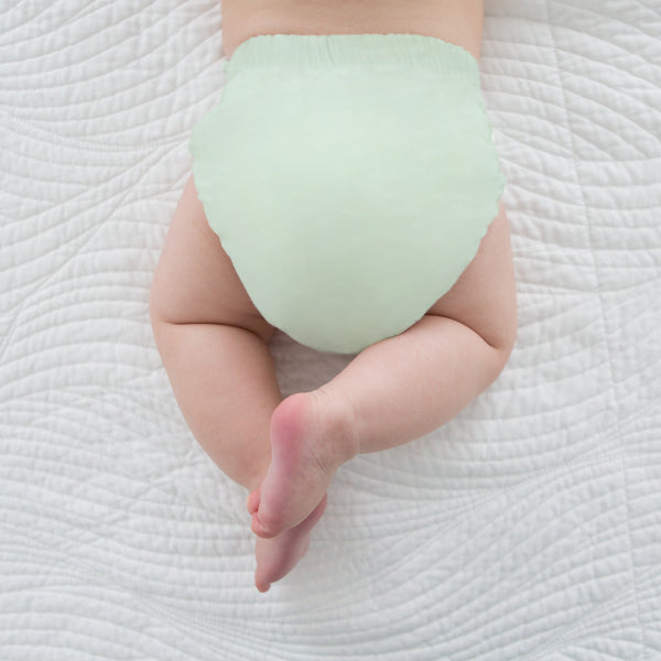 Amazing Baby SmartNappy Hybrid Reusable Cloth Diaper Cover + 1 Reusable Insert + 1 Reusable Booster - Pastel SeaCrystal